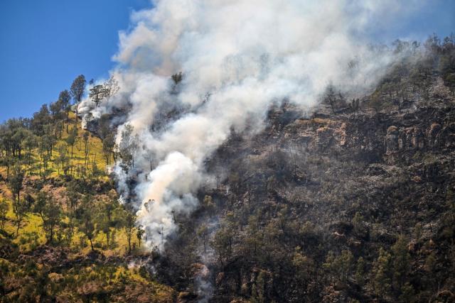 A wildfire burns in Bromo Tengger Semeru National Park near Mount Bromo in Probolinggo, East Java province on August 6, 2026. (Photo by JUNI KRISWANTO / AFP)