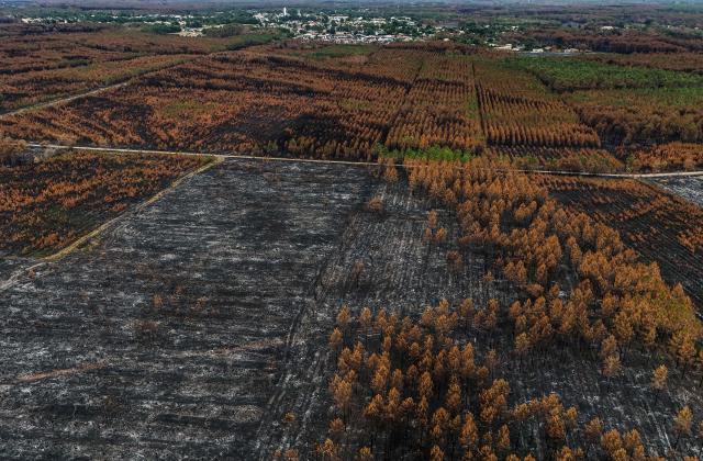 This aerial photograph shows partially burnt pine trees on a scorched landscape in a forest area hit by the wildfire that swept through the Gironde region in Le Porge (village top), south-western France on August 6, 2026. Around 240 homes were destroyed by the flames, three-quarters of them in the municipality of Le Porge (population 3,500), according to a provisional assessment. No fatalities or civilian injuries have been reported. (Photo by Christophe ARCHAMBAULT / AFP)