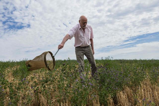 Organic beekeeper Philippe Lecompte, president of the Biodiversity Network for Bees (Réseau Biodiversité pour les Abeilles), uses an insect net to catch a honey bee in a test agricultural plot in Bouleuse, northeastern France, on August 6, 2026. Amidst the parched fields, a patch of flowers where bees are foraging in the middle of August: in the Marne, a farmer has invested in planting hardy legumes that regenerate the soil and provide an oasis for biodiversity. (Photo by Sameer Al-DOUMY / AFP)