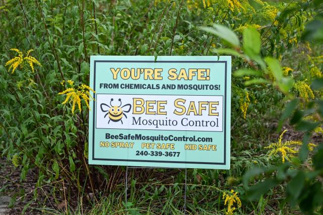 A sign for Bee Safe Mosquito Control is seen in Silver Spring, Maryland, on August 4, 2026. Todd Montgomery pops the lid off a small tube and taps out hundreds of mosquitoes into the backyard of a suburban home outside Washington. He's not up to mischief: these are males that don't bite, and they carry a gut bacteria called Wolbachia, which means when they mate with uninfected females, the eggs won't hatch. It is the first initiative of its kind aimed at residential customers in the United States, with 600,000 tiger mosquitoes (Aedes albopictus) set to be released across the region by the end of summer. (Photo by Alex WROBLEWSKI / AFP)