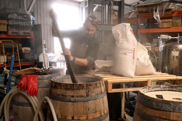 A photo taken on July 2, 2026 shows Robe Town Brewery's Maris Biezaitis making beer including one called Holy Smoke, where after feeding leftover grain residue from the brewing process to camels, he collects the dung to be used as fuel to smoke malted barley in the beer, in the South Australian town of Robe. Far from their origins in the Arabian desert, hundreds of thousands of camels roam outback Australia where they are used for wild races, an alternative milk source, and even to make beer. (Photo by William WEST / AFP) / To go with AFP story Australia-camels-animal, by  Xiao Yu Yin