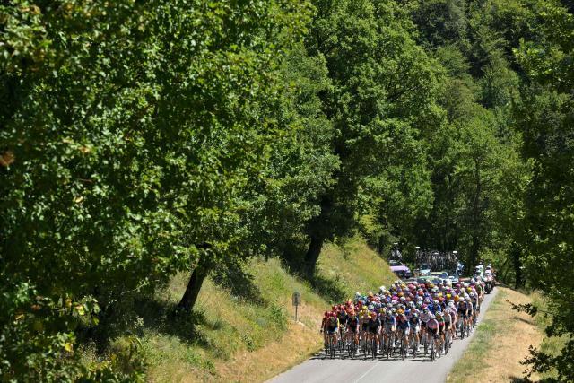 The pack of riders (peloton) rides in the first ascent of the 7th (out of 9) stage of the fifth edition of the Women's Tour de France cycling race, 146.8 km from Voulte-sur-Rhone to The Mont Ventoux, at The Mont Ventoux, southeastern France on August 7, 2026. (Photo by NICOLAS TUCAT / AFP)