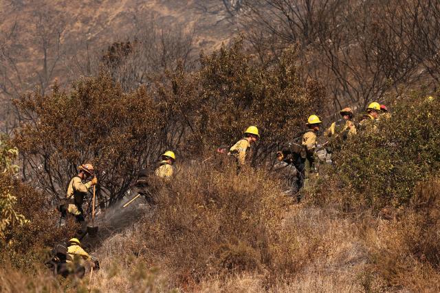 Los Angeles firefighters battle the Walnut Fire in the Wildwood Canyon shortly after breaking out on August 8, 2026 in Burbank, California. The blaze that started on Saturday afternoon forced evacuation orders and warnings to nearby residents. (Photo by David Swanson / AFP)