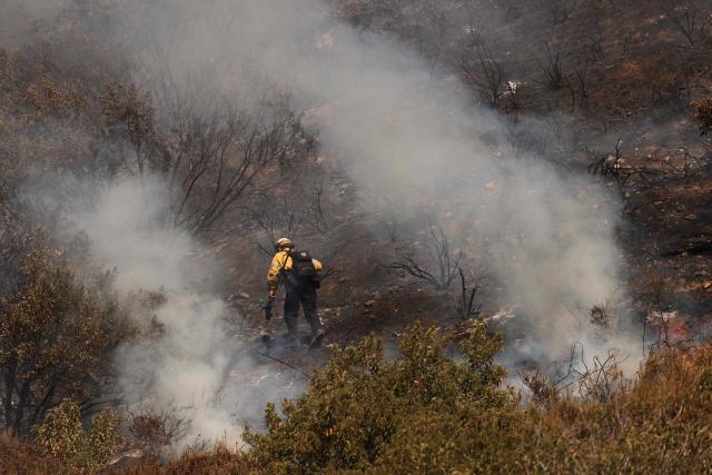 Los Angeles firefighters battle the Walnut Fire in the Wildwood Canyon shortly after breaking out on August 8, 2026 in Burbank, California. The blaze that started on Saturday afternoon forced evacuation orders and warnings to nearby residents. (Photo by David Swanson / AFP)