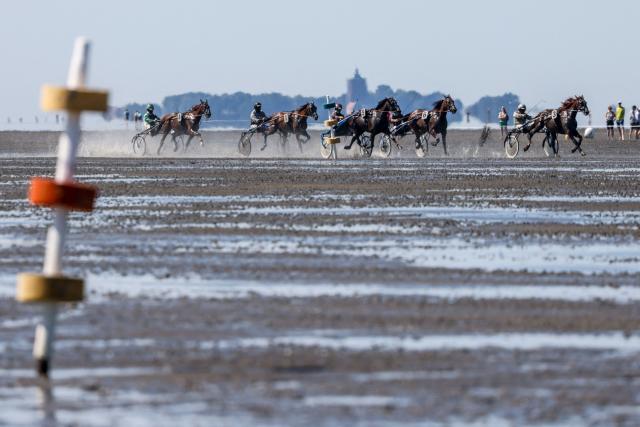 Trot racers compete in front of the island of Neuwerk during the 90th Duhner Wattrennen horse race event in the mudflats of the Elbe estuary during low-tide in Cuxhaven-Duhnen, Germany, on August 9, 2026. The 90th Duhner Wattrennen in the Wadden Sea at the mudflats of the Elbe river is a horse race held on the seabed during low tide. (Photo by FOCKE STRANGMANN / AFP)