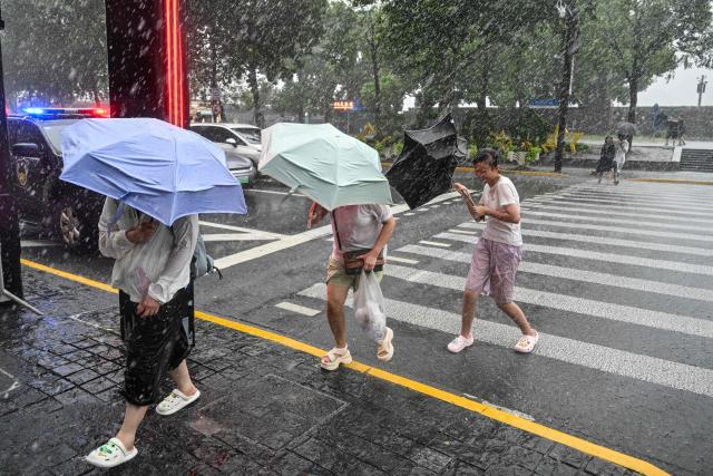 People use umbrellas to shelter from the rain as they walk on The Bund a day after Typhoon Dolphin made landfall in Shanghai on August 10, 2026. (Photo by Hector RETAMAL / AFP)