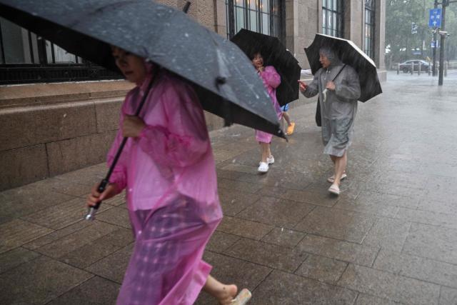 People use umbrellas to shelter from the rain as they walk on the Bund a day after Typhoon Dolphin made landfall in Shanghai on August 10, 2026. (Photo by Hector RETAMAL / AFP)