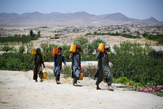Afghans carry figs in canisters from a garden at Shah Wali Kot district in Afghanistan's Kandahar province on August 10, 2026. (Photo by Sanaullah SEIAM / AFP)
