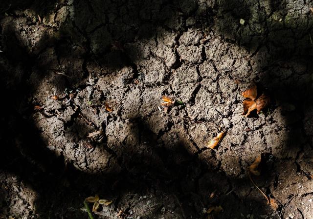 This photograph shows dried earth on the Guip River, a tributary of the Odet River, affected by severe low water levels, in Tregourez, north-western France on August 10, 2026. Nearly 70% of France is currently subject to water usage restrictions due to a drought that is intensifying under the impact of repeated heatwaves affecting the country for the past three months; the government announced this on Monday while also calling for a crisis meeting on Wednesday. (Photo by Fred TANNEAU / AFP)
