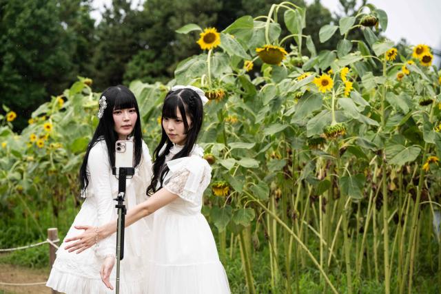 Two women pose for a photo as they visit a sunflower field at Kasai Rinkai Park in Tokyo on August 11, 2026. (Photo by Andrew CABALLERO-REYNOLDS / AFP)