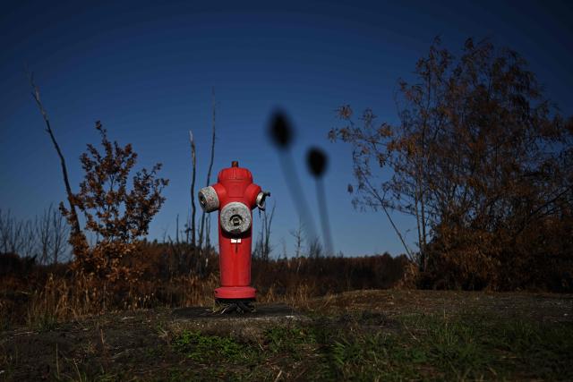This photograph shows a red fire hydrant standing in front of scorched vegetation in a wildfire-ravaged forest near Saumos, Gironde, south-western France, on August 11, 2026. The blaze, which broke out on July 22, burned around 42,000 hectares across the Gironde department before being contained in early August (Photo by Philippe LOPEZ / AFP)