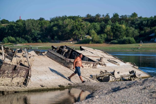 This photograph shows a man exploring the wreckage of a World War II German warship, one of dozens sunk by retreating Nazi forces in September 1944, emerging from the low waters of the Danube River near Prahovo, Serbia, on August 11, 2026, as drought and prolonged hot and dry weather continues to lower water levels across the region. Heat and drought are driving rivers across Europe to record lows. Low levels along the Danube river have already seen Hungary and Romania forced to consider shuttering their nuclear plants, which rely on the water for cooling, in late July, though both managed to avoid doing so for now. (Photo by Andrej ISAKOVIC / AFP)