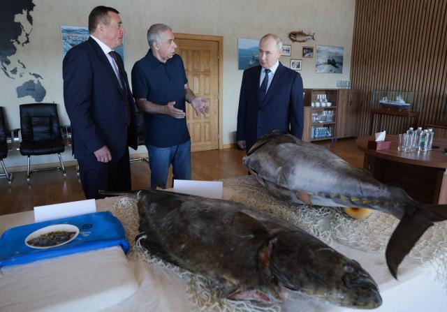 In this pool photograph distributed by the Russian state agency Sputnik, Russia's President Vladimir Putin visits the Yasny fish processing factory on Iturup island, one of four islands in the contested chain known as the Kuril Islands in Russia and the Northern Territories in Japan, on August 13, 2026. (Photo by Gavriil Grigorov / POOL / AFP)