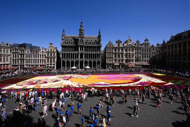 This photograph shows a large view of a flower carpet at the Grand-Place during the 24th edition of the Brussels' Flower Carpet show in Brussels on August 13, 2026. (Photo by JOHN THYS / AFP)