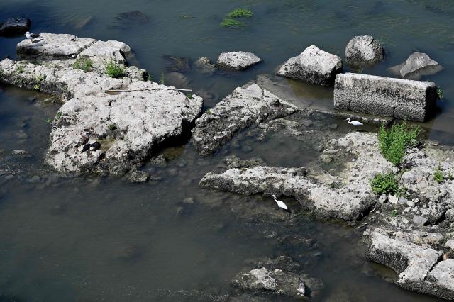Two herons stand on an Ancient Roman bridge emerging from the Tiber River, in central Rome on August 13, 2026. The unusually low waters of the Tiber River have revealed the remains of an ancient Roman bridge believed to date back to the reign of Emperor Nero (54-68 AD). Located near Castel Sant'Angelo, the structure once carried the ancient Via Triumphalis across the river, linking Rome with the Vatican area nearly 2000 years ago. (Photo by Andreas SOLARO / AFP)