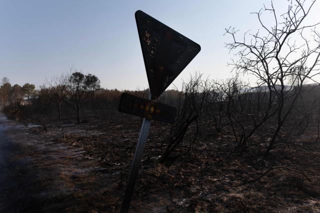 This photograph shows a burnt traffic sign amid a scorched area along a road following a wildfire in Saint-Just, western France, on August 13, 2026. (Photo by Fred TANNEAU / AFP)