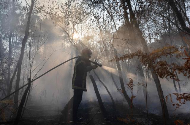 A firefighter sprays water on a burnt forested area following a wildfire in Saint-Just, western France, August 13, 2026. (Photo by Fred TANNEAU / AFP)