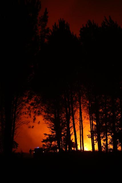 Firefighters work to extinguish a wildfire in the Landes forest in Luglon, south-western France, on August 13, 2026. The fire that broke out on August 13, 2026 in the Landes forest has now spread across 400 hectares, and 400 people "are being evacuated as a precautionary measure", according to the prefecture of this south-western department. (Photo by ROMAIN PERROCHEAU / AFP)