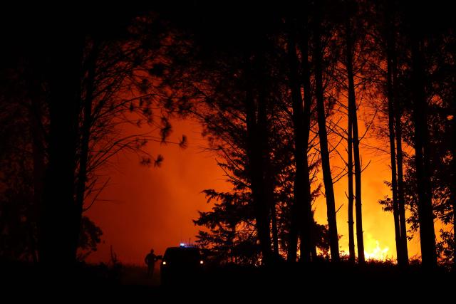 A firefighter looks on as a wildfire rages in the Landes forest in Luglon, southwestern France, on August 13, 2026. The fire that broke out on August 13, 2026 in the Landes forest has now spread across 400 hectares, and 400 people "are being evacuated as a precautionary measure", according to the prefecture of this south-western department. (Photo by ROMAIN PERROCHEAU / AFP)