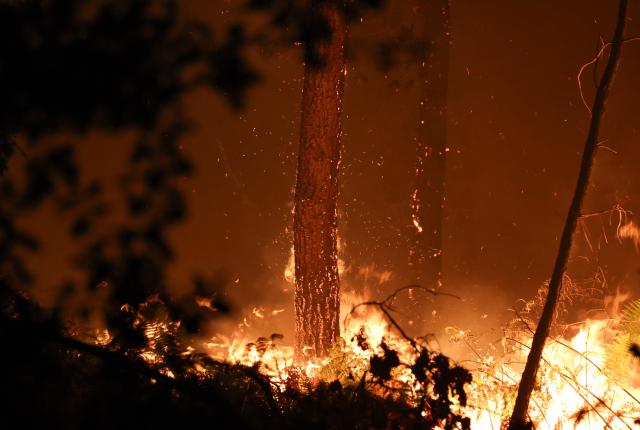 Glowing embers erupt from a burning tree trunk as a wildfire rages through the Landes forest in Luglon, southwestern France, in the early hours of August 14, 2026. The fire that broke out on August 13, 2026 in the Landes forest has now spread across 400 hectares, and 400 people "are being evacuated as a precautionary measure", according to the prefecture of this south-western department. (Photo by ROMAIN PERROCHEAU / AFP)