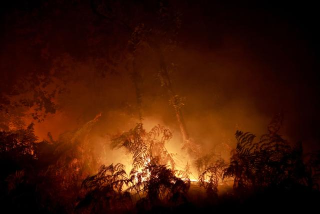 Flames engulf trees as a wildfire rages through the Landes forest in Luglon, southwestern France, in the early hours of August 14, 2026. The fire that broke out on August 13, 2026 in the Landes forest has now spread across 400 hectares, and 400 people "are being evacuated as a precautionary measure", according to the prefecture of this south-western department. (Photo by ROMAIN PERROCHEAU / AFP)
