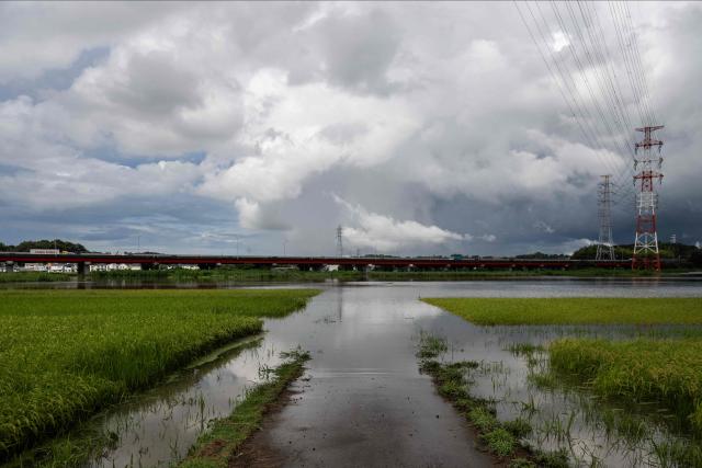 A road disappears into a flooded rice field near the highway in Sakura, Chiba prefecture on August 14, 2026. At least four people died in eastern Japan after "unprecedented" heavy rain that left thousands stranded at Narita airport overnight and snarled up roads and rail services, authorities said. (Photo by ANDREW CABALLERO-REYNOLDS / AFP)