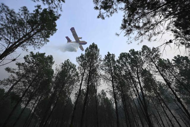 A French Civil Security Canadair CL-415 firefighting aircraft douses water over trees in a forest during a wildfire in Luglon, south-western France on August 14, 2026. (Photo by Gaizka IROZ / AFP)