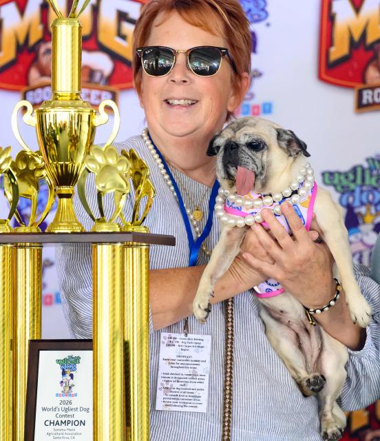 Jinny Lu, a pug rescue, celebrates with its ownwer after winning the World’s Ugliest Dog Contest at the Sonoma County Fairgrounds in Santa Rosa, California, on August 14, 2026. (Photo by JOSH EDELSON / AFP)