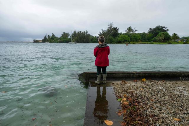A resident looks at a young green sea turtle as ocean waters started to raise due to the approach of Tropical Storm Lala at Reed's Bay in Hilo, Hawaii on August 14, 2026. A strengthening tropical storm named Lala is set to hit Hawaii's Big Island with hurricane force on Saturday, bringing dangerous winds, rainfall and surf as the state's governor declared a state of emergency. (Photo by Jill K. Briggs / AFP)