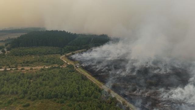 This aerial photograph shows a wildfire burning in the Hautes Fagnes (High Fens) nature reserve in Waimes on August 15, 2026. Residents began evacuating from two villages in eastern Belgium on August 15, 2026 as firefighters, backed by water bombers and helicopters from across Europe, battled one of the biggest wildfires in the country's history. Reinforcements from across the country were fighting the blaze which broke out on August 14, 2026 in the High Fens (Hautes Fagnes) natural park and quickly expanded burning an estimated 1600 hectares of the 4500 hectare reserve. (Photo by Dimitri KORCZAK / AFP)