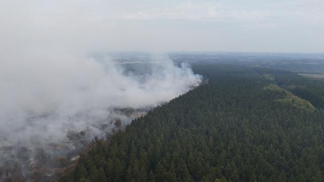 This aerial photograph shows a wildfire burning in the Hautes Fagnes (High Fens) nature reserve in Waimes on August 15, 2026. Residents began evacuating from two villages in eastern Belgium on August 15, 2026 as firefighters, backed by water bombers and helicopters from across Europe, battled one of the biggest wildfires in the country's history. Reinforcements from across the country were fighting the blaze which broke out on August 14, 2026 in the High Fens (Hautes Fagnes) natural park and quickly expanded burning an estimated 1600 hectares of the 4500 hectare reserve. (Photo by Dimitri KORCZAK / AFP)