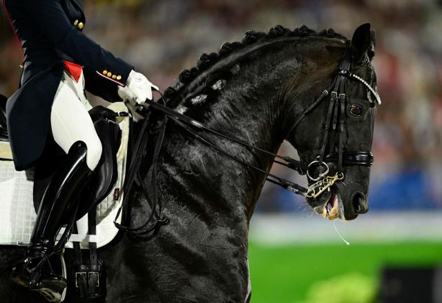 Great Britain's Charlotte Fry competes on the horse Glamourdale in the Grand Prix Freestyle Individual Final of the FEI Dressage World Championship equestrian event on August 15, 2026 in Aachen, western Germany. (Photo by Ina FASSBENDER / AFP)