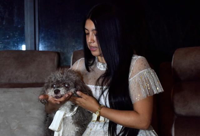 Jessica Florez, sister-in-law of the Colombian lawyer Lenny Ruiz, who died protecting her dog Salomon, during the August 10th earthquake in Cali, holds Solomon in Pasto, Colombia on August 14, 2026. (Photo by Franklin  Ruiz / AFP)