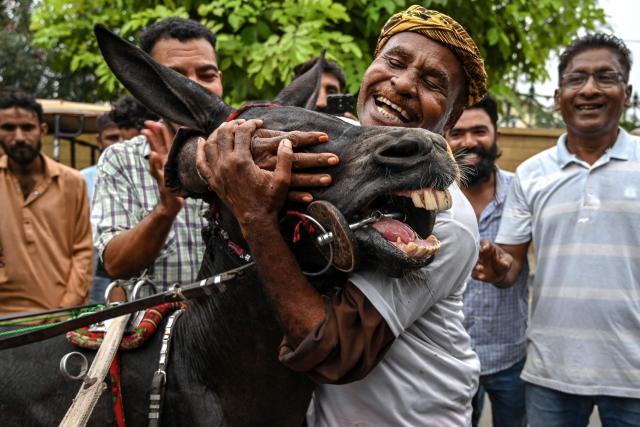 A participant celebrates with his donkey after winning the donkey-cart race organised by the local authorities in Karachi on August 16, 2026. (Photo by Asif HASSAN / AFP)
