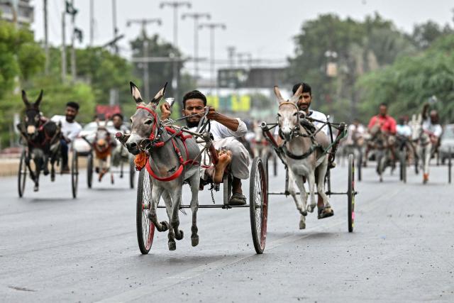 Participants compete in a donkey cart race organised by the local authorities in Karachi on August 16, 2026. (Photo by Asif HASSAN / AFP)