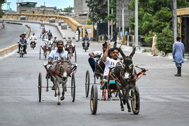 Participants compete in a donkey cart race organised by the local authorities in Karachi on August 16, 2026. (Photo by Asif HASSAN / AFP)
