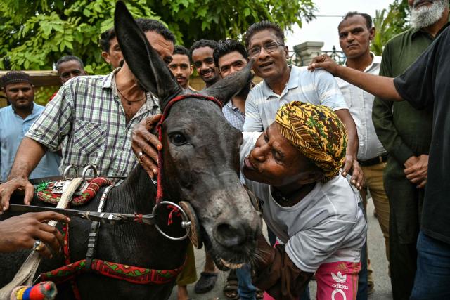 A participant celebrates with his donkey after winning the donkey-cart race organised by the local authorities in Karachi on August 16, 2026. (Photo by Asif HASSAN / AFP)