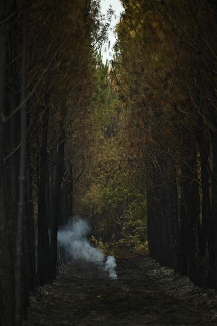 This photograph shows smoke rising from a scorched forested area following a wildfire near Luglon, southwestern France, on August 16, 2026. (Photo by Gaizka IROZ / AFP)
