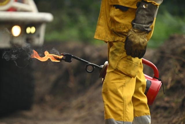 A firefighter sets a tactical fire in a forest near a farm to prevent a wildfire from spreading near Luglon, south-western France, on August 16, 2026. (Photo by Gaizka IROZ / AFP)
