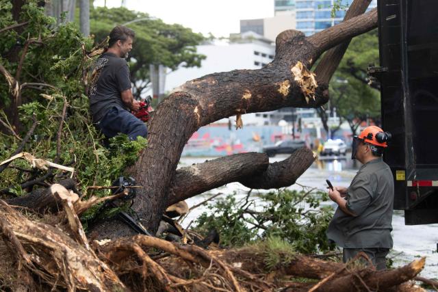 Workers cut a fallen tree into pieces in front of the Hawaii Convention Center, knocked down from rain and wind from Hurricane Lala, in Honolulu, Hawaii, on August 16, 2026. Hurricane Lala was pulling away from Hawaii's Big Island early Sunday, as heavy rain and strong winds struck the US Pacific state and officials warned of potentially dangerous flooding. The heavy rain and flood risk will then spread westward across the island chain on Sunday, according to the NHC. (Photo by Eugene Tanner / AFP)
