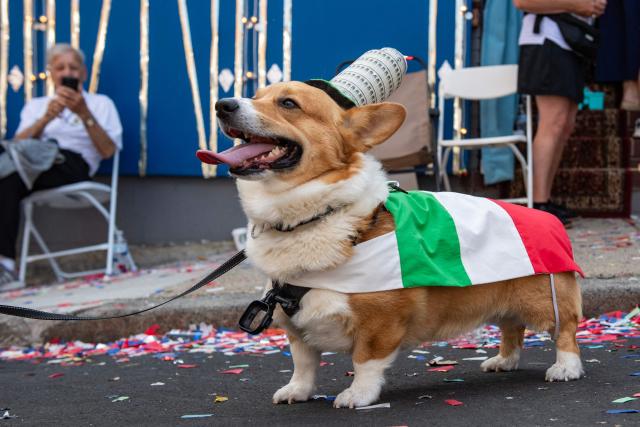 Rocio the Corgi dog wears an Italian outfit during the 116th Fisherman’s Feast Italian festival in Boston, Massachusetts on August 16, 2026. (Photo by JOSEPH PREZIOSO / AFP)