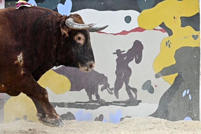 This photograph shows French artist Quentin Revilla's painting on the side of the ring during a bullfight as part of the Feria in Beziers, southern France, on August 16, 2026. (Photo by Gabriel BOUYS / AFP)