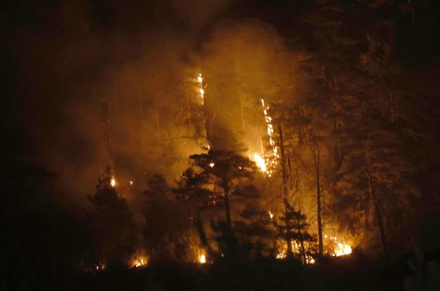 Burning trees are pictured as firefighters battle fire in Santa Cruz de la Seros in the Spanish northeastern province of Aragon, in the night of August 16-17, 2026 amid a wildfire that burnt 16,600 hectares. A Spanish soldier died on August 16, 2026 while helping efforts to extinguish a major wildfire in the northeastern region of Aragon that has raged for a week and threatened a 1,000-year-old monastery. Regional authorities said more than 16,600 hectares had been affected and around 1,000 people evacuated from various small settlements and villages. (Photo by Oscar DEL POZO / AFP)