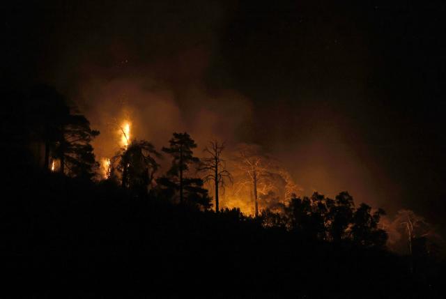 Burning trees are pictured as firefighters battle fire in Santa Cruz de la Seros in the Spanish northeastern province of Aragon, in the night of August 16-17, 2026 amid a wildfire that burnt 16,600 hectares. A Spanish soldier died on August 16, 2026 while helping efforts to extinguish a major wildfire in the northeastern region of Aragon that has raged for a week and threatened a 1,000-year-old monastery. Regional authorities said more than 16,600 hectares had been affected and around 1,000 people evacuated from various small settlements and villages. (Photo by Oscar DEL POZO / AFP)