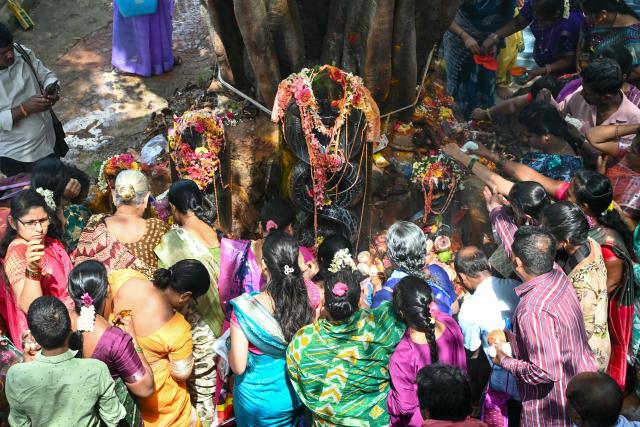 Devotees worship the Hindu mythical serpent idols during the Naga Panchami festival in Hyderabad on August 17, 2026. (Photo by Noah SEELAM / AFP)
