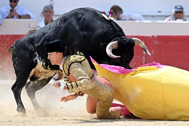 French novillero (young matador) Victor is hit by the bull during his bullfight as part of the Feria in Beziers, southern France on August 16, 2026. (Photo by Gabriel BOUYS / AFP)