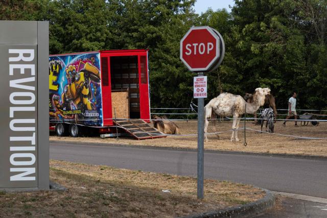 This photograph shows a dromedary camel grazing in the parking lot of a Carrefour Market where the Crone Circus has set up, in Pont-Audemer, on August 17, 2026. Traveling circus' have been marked by some recurring tensions regarding unauthorized installations on public or private land. (Photo by JOEL SAGET / AFP)