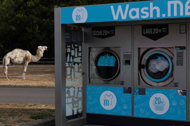 This photograph shows a dromedary camel next to washing machines in the parking lot of a Carrefour Market where the Crone Circus has set up, in Pont-Audemer, on August 17, 2026. Traveling circus' have been marked by some recurring tensions regarding unauthorized installations on public or private land. (Photo by JOEL SAGET / AFP)