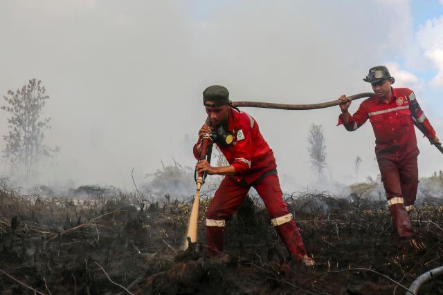 (FILES) This picture taken on July 31, 2026 shows firefighters extinguishing wildfires on peatlands covering more than 100 hectares (247 acres) in Pulang Pisau, Indonesia's Central Kalimantan province, due to a prolonged dry season. Indonesia believes cloud seeding can help it tackle a wildfire season that experts say is on track to be among the worst in years, driven by a strong El Nino. (Photo by REINA / AFP)