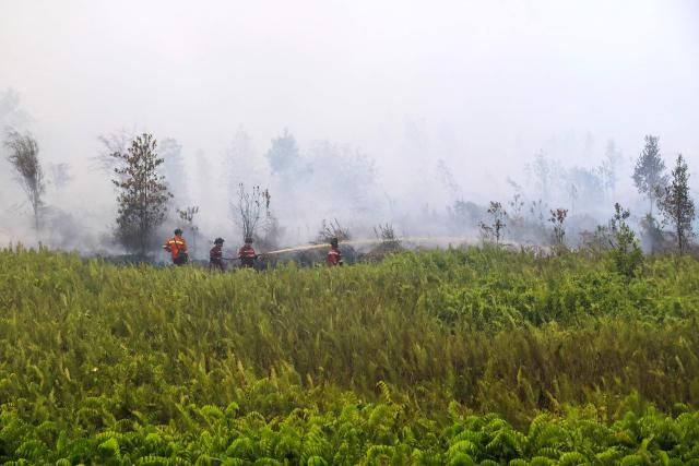 (FILES) This picture taken on July 31, 2026 shows firefighters extinguishing wildfires on peatlands covering more than 100 hectares (247 acres) in Pulang Pisau, Indonesia's Central Kalimantan province, due to a prolonged dry season. Indonesia believes cloud seeding can help it tackle a wildfire season that experts say is on track to be among the worst in years, driven by a strong El Nino. (Photo by REINA / AFP)